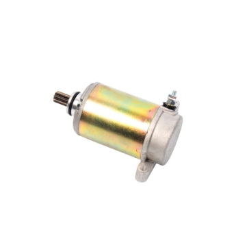 STARTER YAM ARROWHEAD