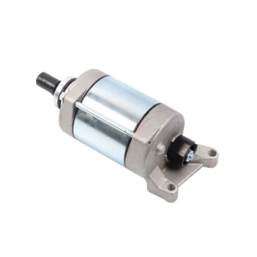 STARTER YAM ARROWHEAD