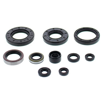 VertexWinderosa Oil Seal Sets Fits Polaris