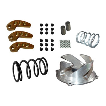 CLUTCH KIT W/ADJ WEIGHT POL