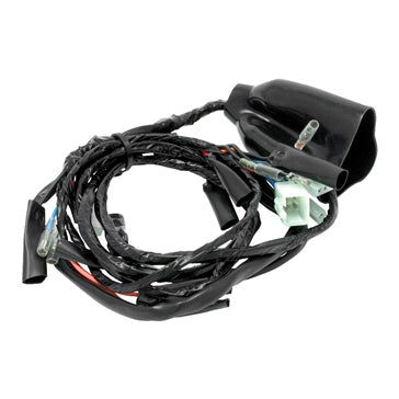 DRC ZETA UNIT Main Harness