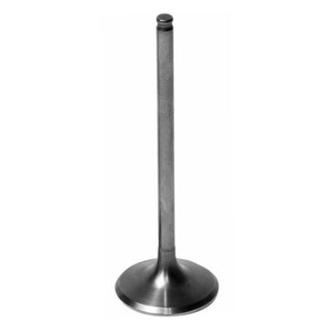 Hot Cams Exhaust Valve - Steel & titanium