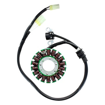 ElectroSport Stator Fits Yamaha -