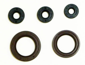 VertexWinderosa Oil Seal Sets Fits Can-am -