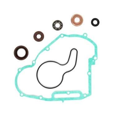 VertexWinderosa Water Pump Repair Kit Fits Polaris