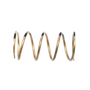 Venom Rapid Response Drive Clutch Secondary Spring