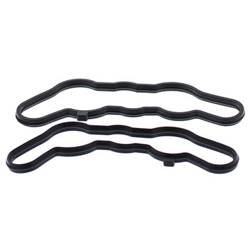 VertexWinderosa Power Valve Gasket Sets Fits Polaris
