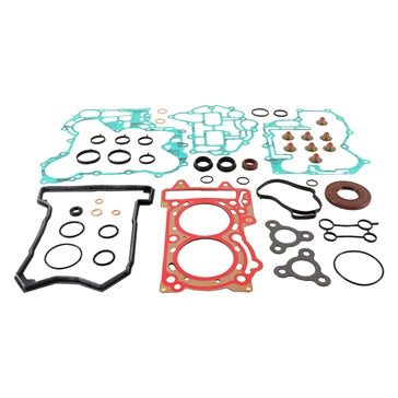 VertexWinderosa Professional Complete Gasket Sets with Oil Seals Fits Ski-doo