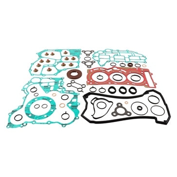 VertexWinderosa Professional Complete Gasket Sets with Oil Seals Fits Ski-doo