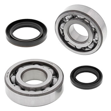 All Balls Crankshaft Bearing and Seal Kit Fits Suzuki - Dirt bikes