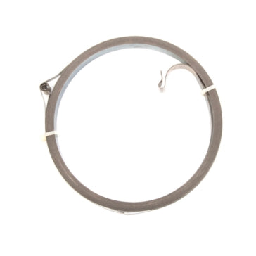 Sierra Rewind Starter Spring