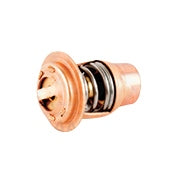 WSM Thermostat Fits Polaris