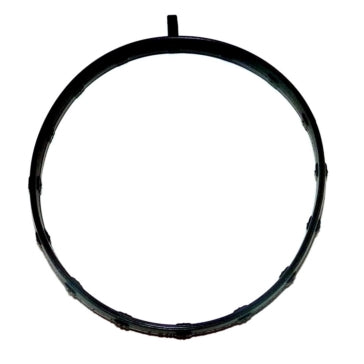 WSM Engine Gasket Top End Kit