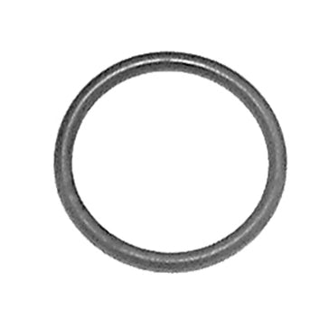 WSM O-Ring