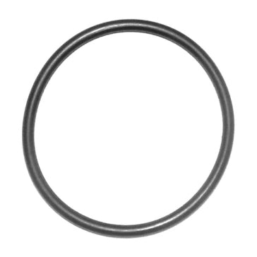 WSM O-Ring