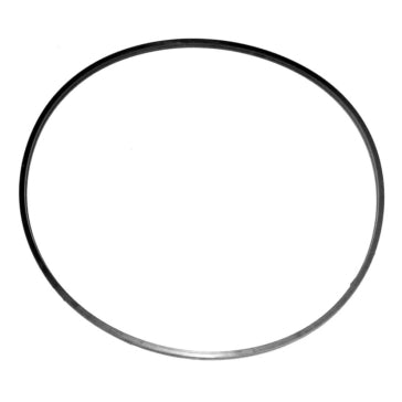 WSM O-Ring