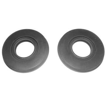 WSM CrankShaft Oil Seal Kit