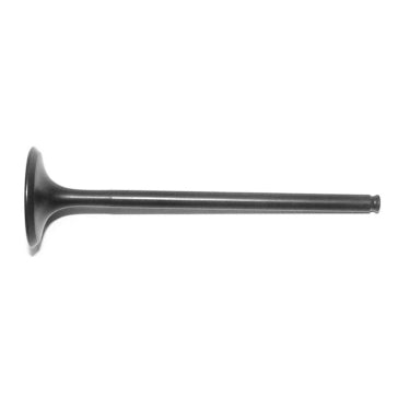 WSM Exhaust Valve