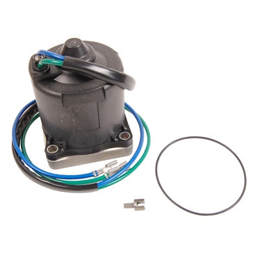 BRP Evinrude Motor and O-Ring