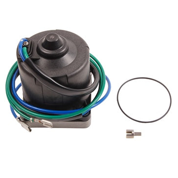 BRP Evinrude Motor and O-Ring