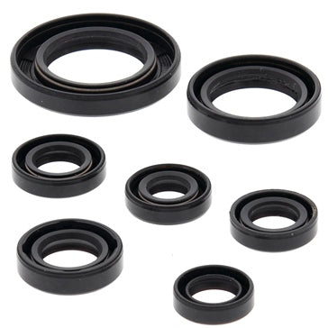 BRP Evinrude Needle Bearing