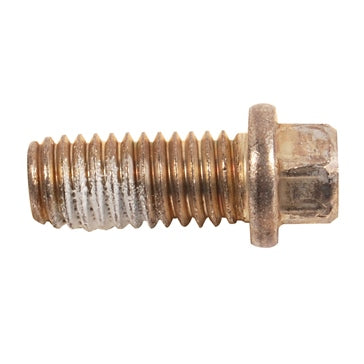 BRP Evinrude Screw