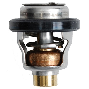 BRP Evinrude Thermostat Fits Johnson/Evinrude; Fits OMC - 5030742