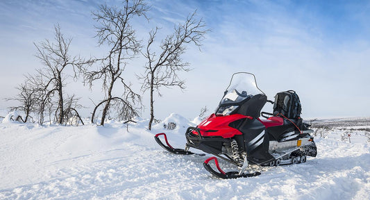 Red Snowmobile parked in front of a tree on a snowy path