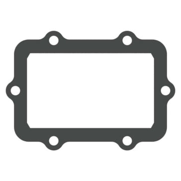 PETAL GASKET KIT VFORCE BRP