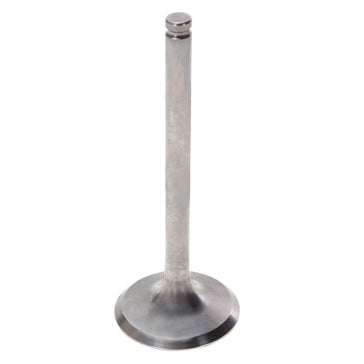 EXHAUST VALVE TITANIUM YAM HOTCAMS