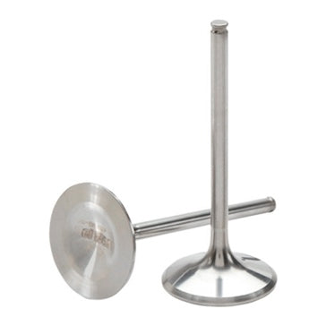 INTAKE VALVE TITANIUM YAM HOTCAMS