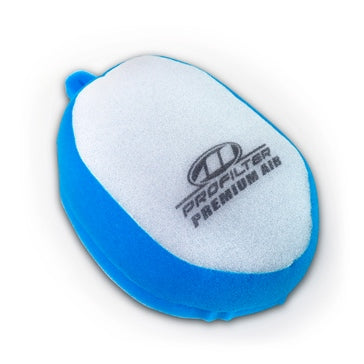 Profilter Premium Air Filter Fits Kawasaki