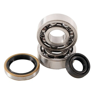 Hot Rods Crankshaft Bearing Kit Fits KTM - Motorcycle