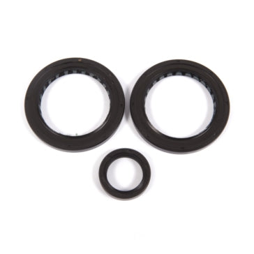 DIFFERENTIAL SEAL KIT RR POL ALLBALLS