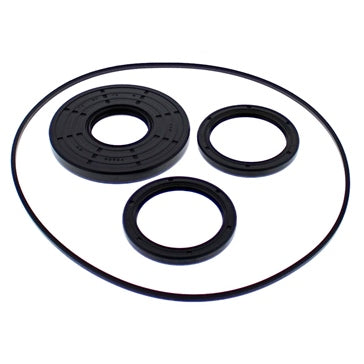 DIFFERENTIAL SEAL KIT FT POL ALLBALLS