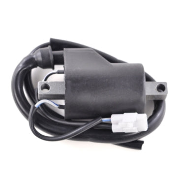 IGNITION COIL POL KIMPEXHD