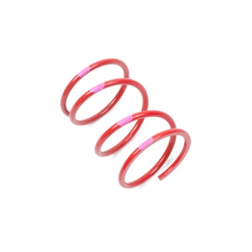 SPRING SECONDARY RD/PI TEAM