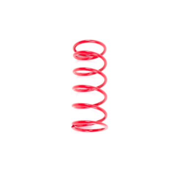 SECOND SPRING 310-205LBS RD SKIDOO EPI
