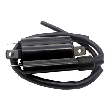 IGNITION COIL EXT A/C KIMPEXHD