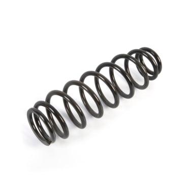 SUSPENSION SPRING EPI