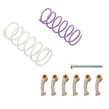 CLUTCH KIT C-AM EPI