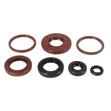 VertexWinderosa Oil Seal Sets Fits Arctic cat