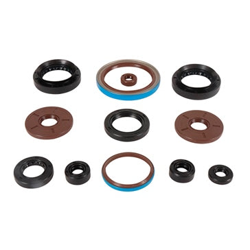 VertexWinderosa Oil Seal Sets Fits Arctic cat