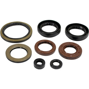 VertexWinderosa Oil Seal Sets Fits Arctic cat