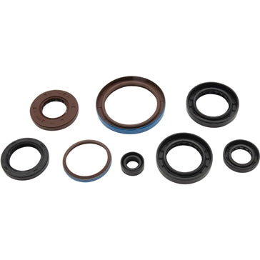 VertexWinderosa Oil Seal Sets Fits Arctic cat