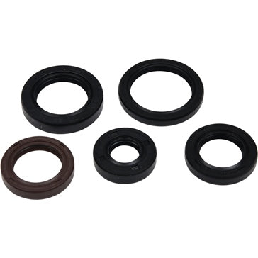 VertexWinderosa Oil Seal Sets Fits Polaris