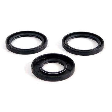 DIFFERENTIAL SEAL KIT FT POL EPI