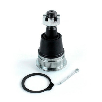 BALL JOINTS KIT LWR HON EPI