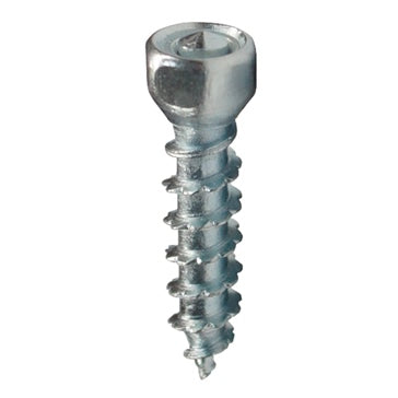 SCREW CARBIDE BOSS QTY500 WOODYS