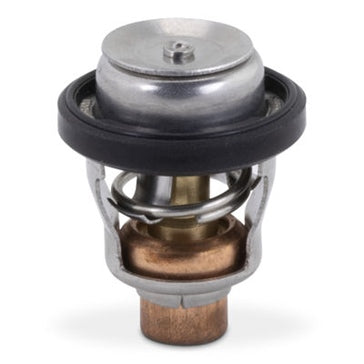 THERMOSTAT SIERRA